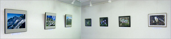 山岳写真&高山植物 写真展