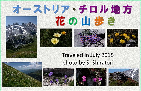 ミニ写真展チロル花の山歩き